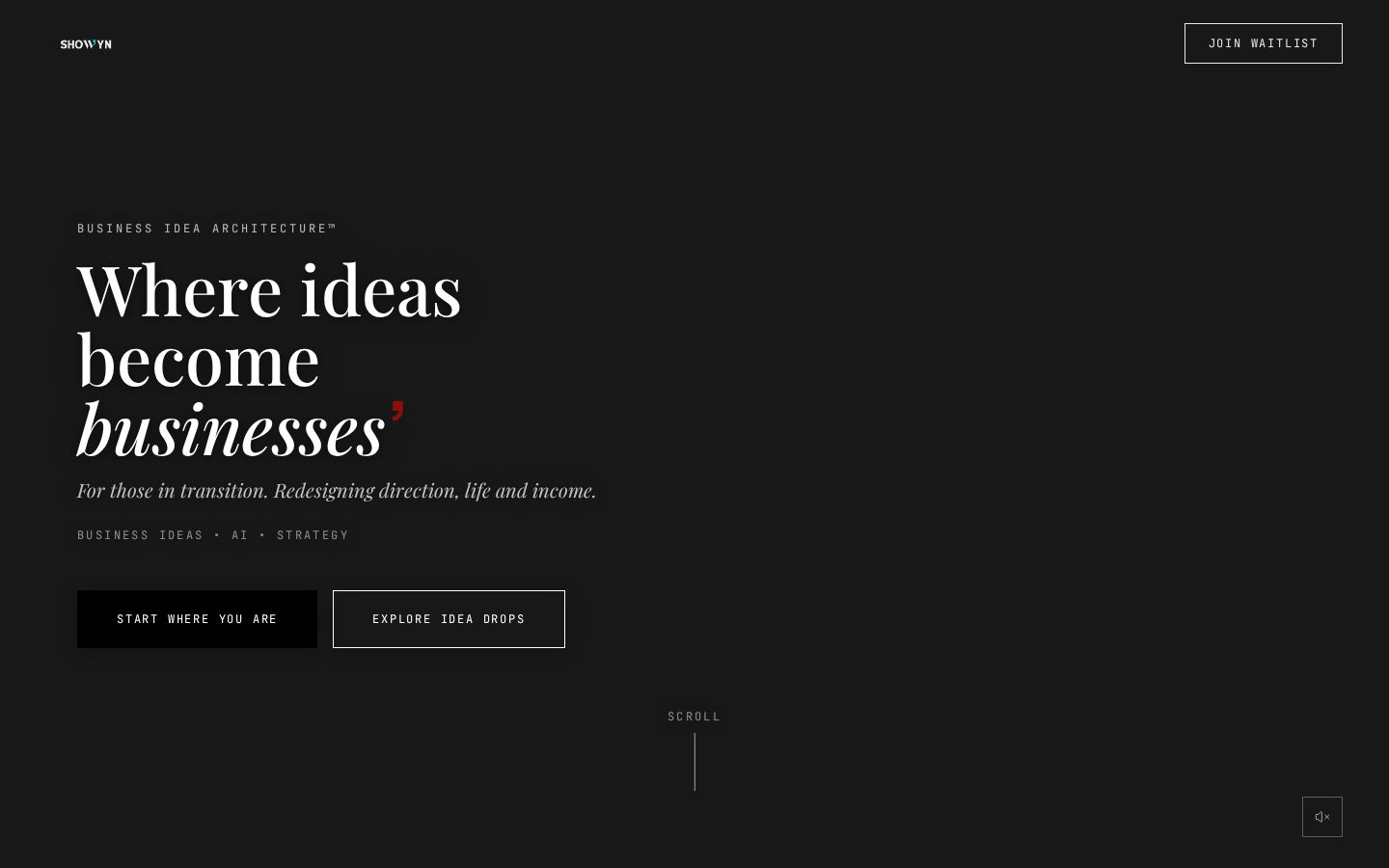 SHOW’YN website homepage